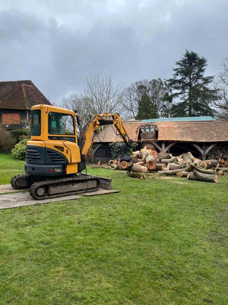 This is a photo of a tree which has grown through the roof of a barn that is being cut down and removed. There is a digger that is removing sections of the tree as well. Brixworth Tree Surgeons