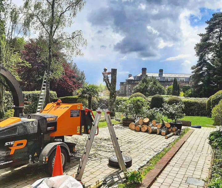 This is a photo of a tree being felled. A tree surgeon is currently removing the last section, the logs are stacked in a pile. Brixworth Tree Surgeons