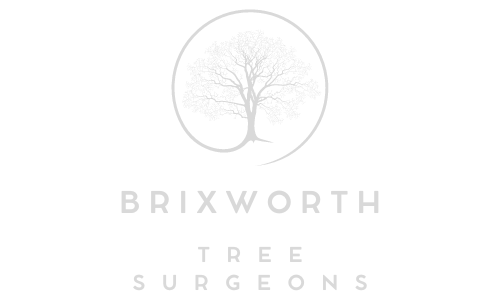 Brixworth Tree Surgeons